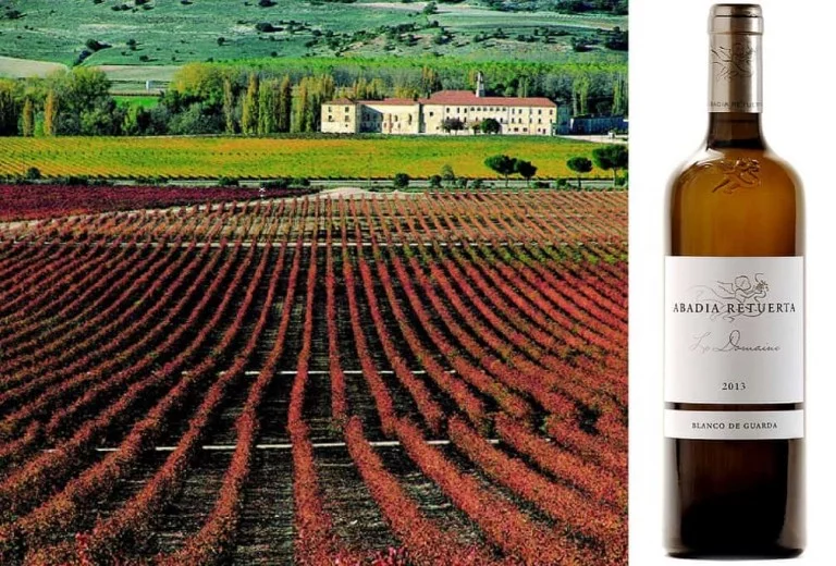 Abadía Retuerta LeDomaine 2013, un blanco de guarda
