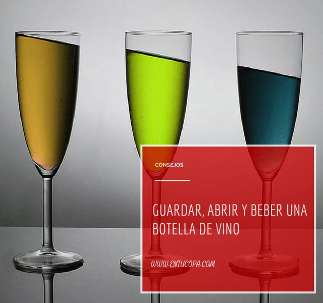 Copas de vino para amantes del vino, cristal sin plomo hecho en Europa,  tallo clásico, apto para lavavajillas, juego de regalo de copa de vino  tinto