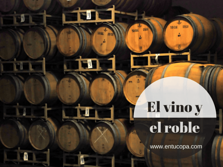 La relación entre el vino y el roble