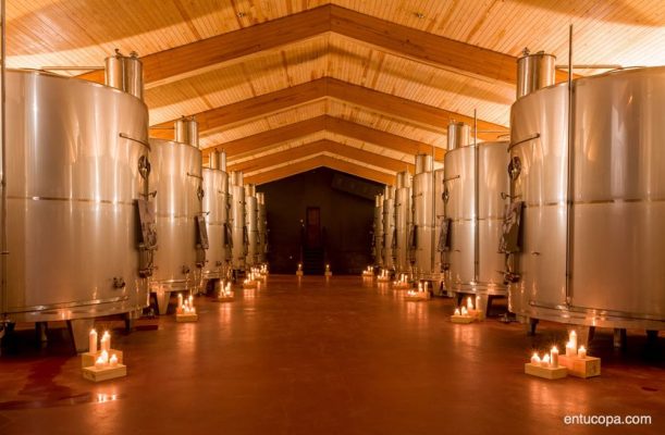 Mejor Blanco de Rioja 2024