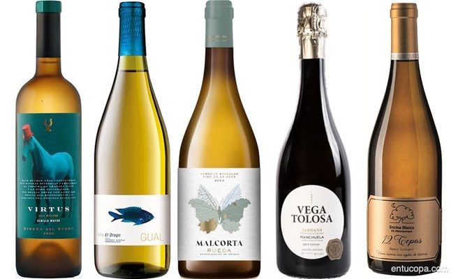 Arqueología en la copa: la revolución de las variedades olvidadas que redefine el mapa del vino español 2
